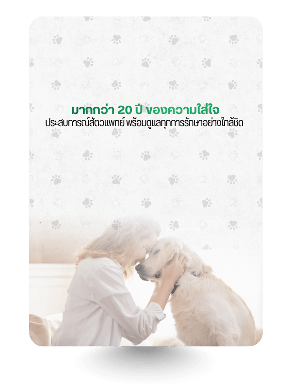 โรงพยาบาลสัตว์มาลีวัลย์ (12)
